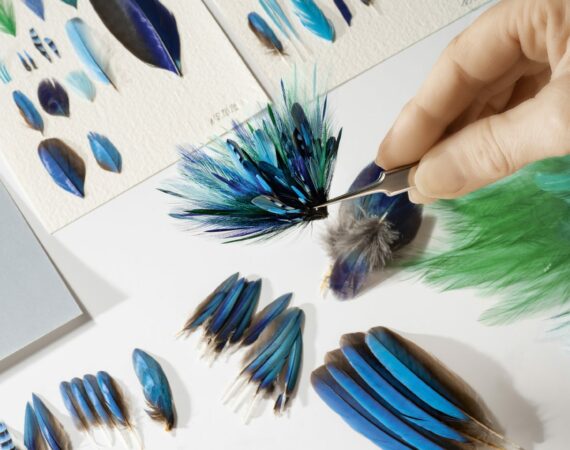 SOLSTICE BY PIAGET KOW HOW 7 1463x2048 1