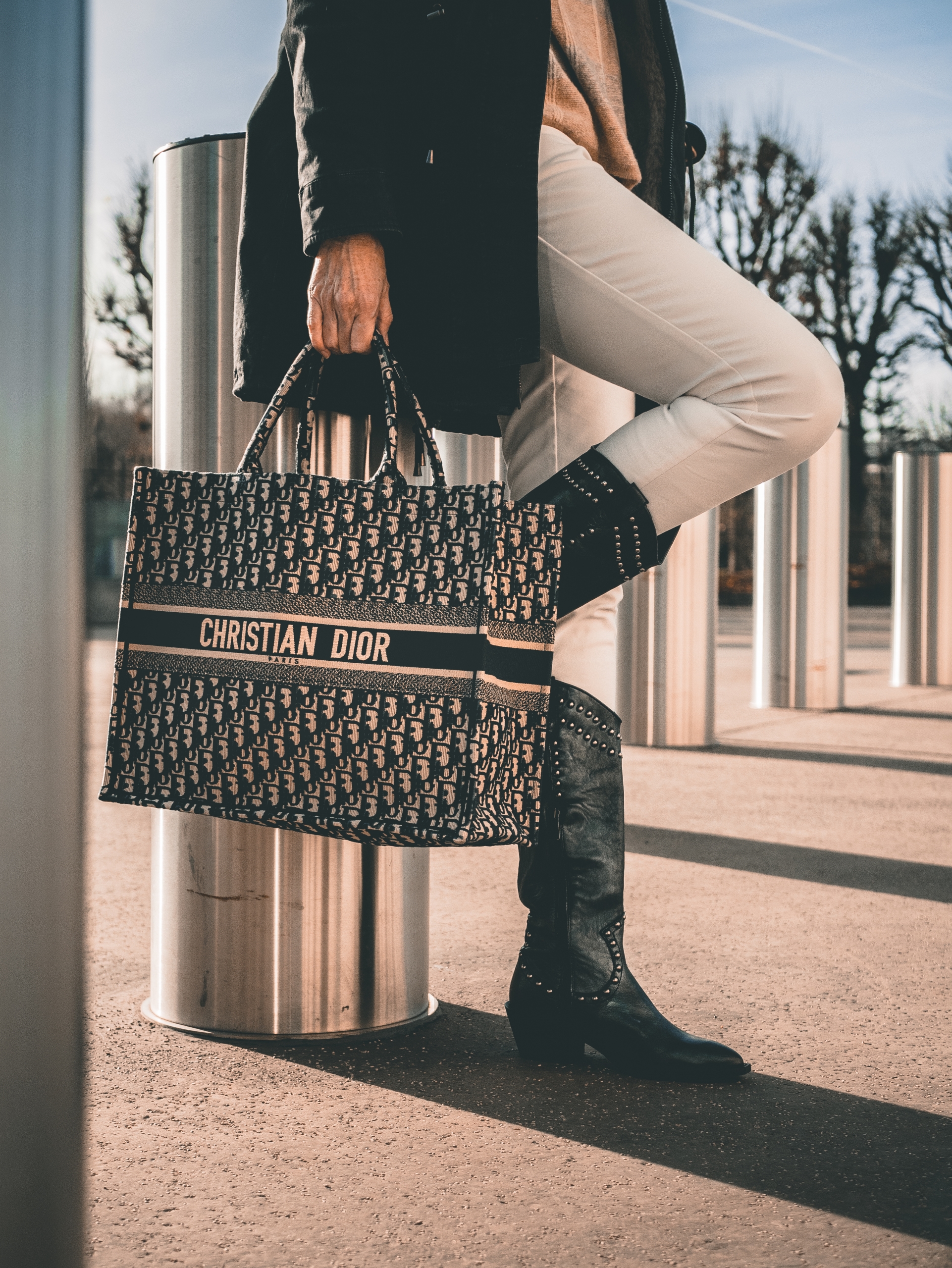 DiorTote1. Credit Bag Borrow scaled 1