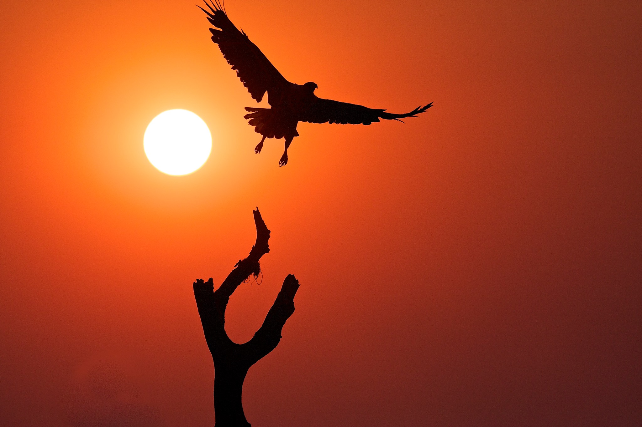 Konkamoya Lodge Zambia2 c Konkamoya Lodge