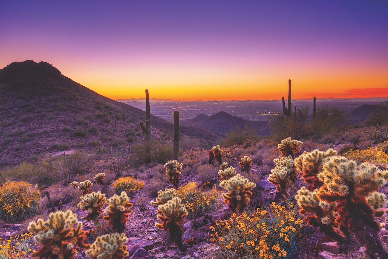 McDowell Sonoran Preserve c Tom Mackie for Experience Scottsdale