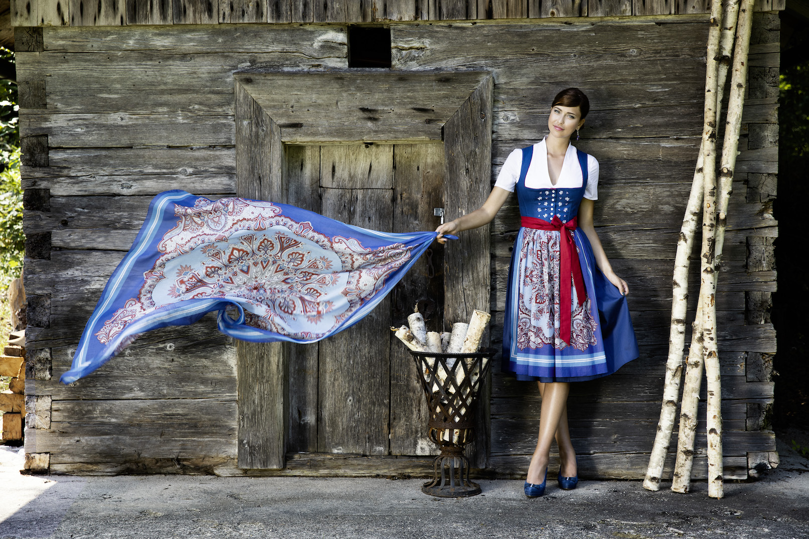 S69 goessl Wiesenblume