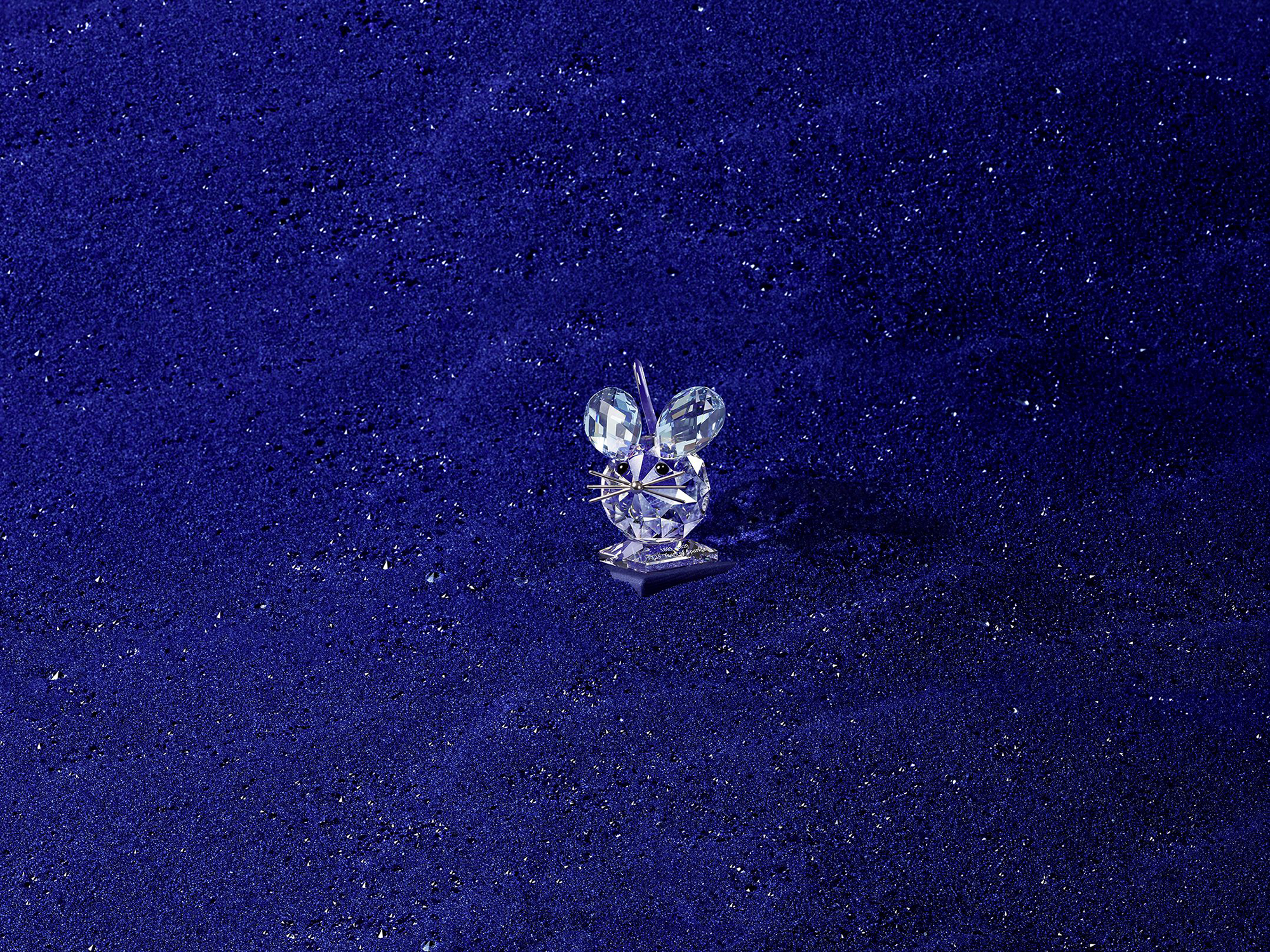 Swarovski FW20 VISUAL 4