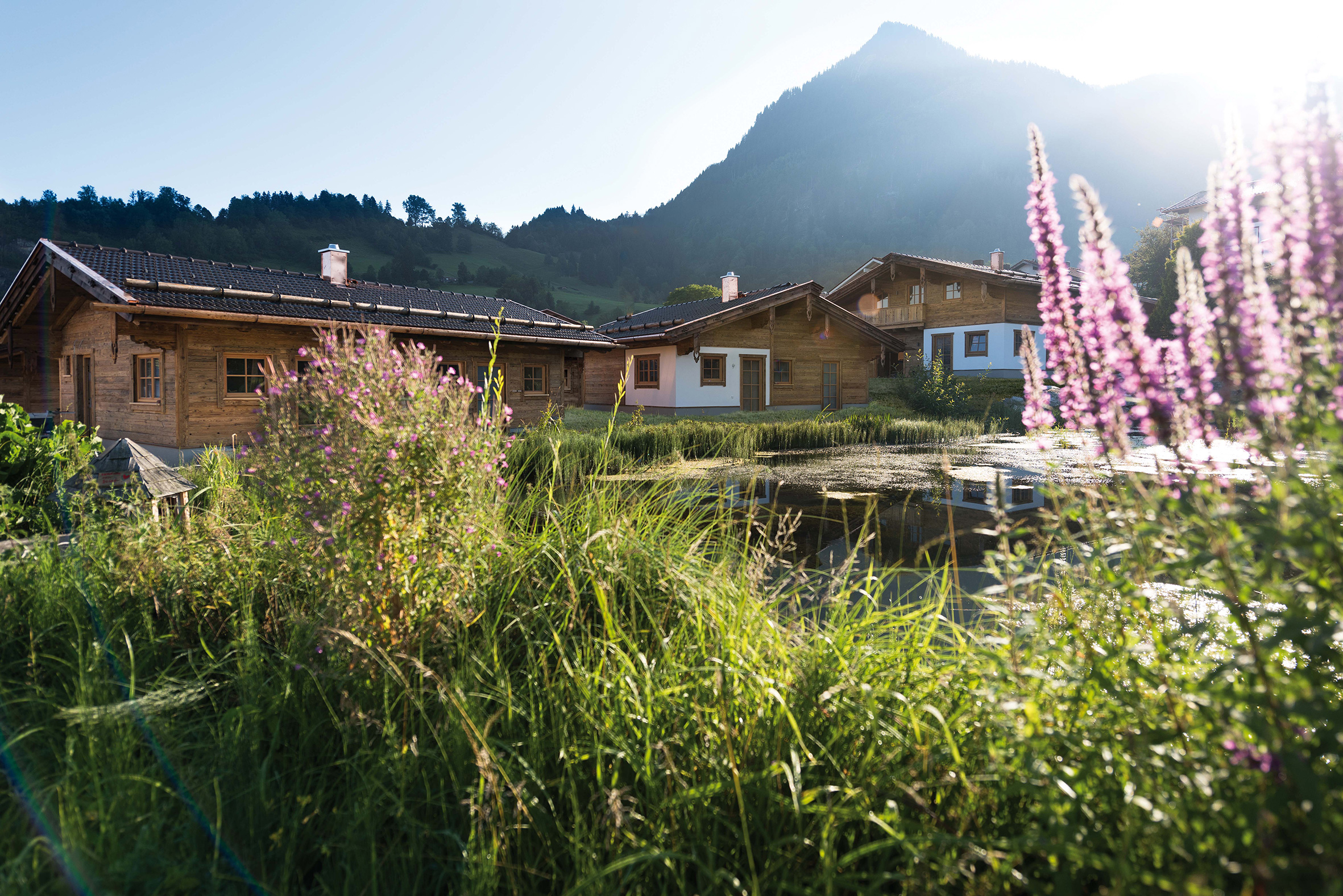 ansicht auf das chaletdorf c www.studiowaelder.com alpzitt chalets