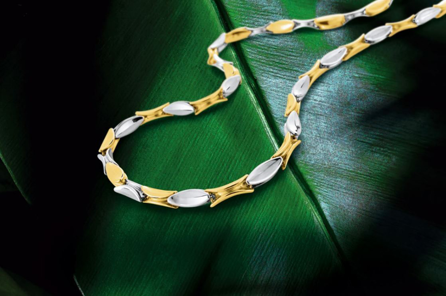 xDie neue Jungle flirt