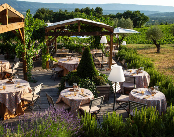 Jardin dans les Vignes 1