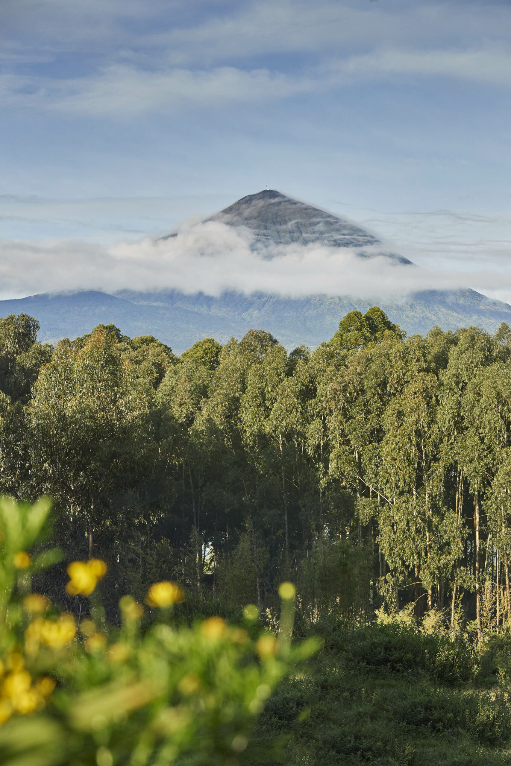 OneOnly Gorillas Nest Ruanda Volcano scaled