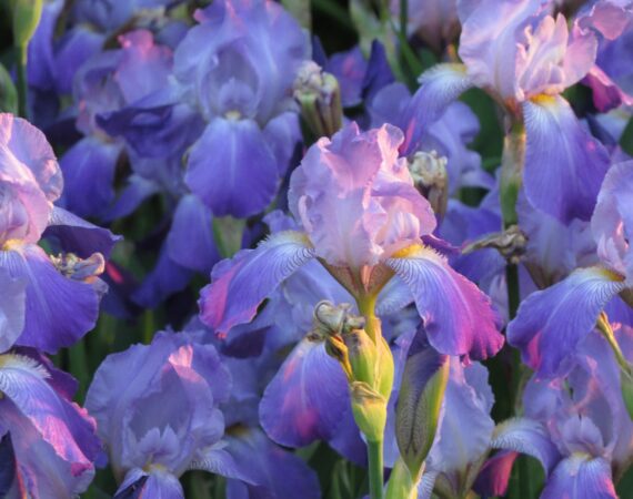 christina brinza TXmV4YYrzxg unsplash