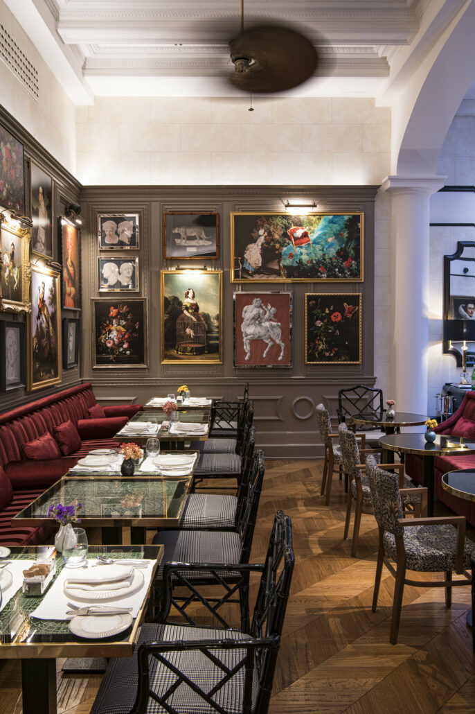 Maalot Don Pasquale 51938289835 5b9176d9f1 k