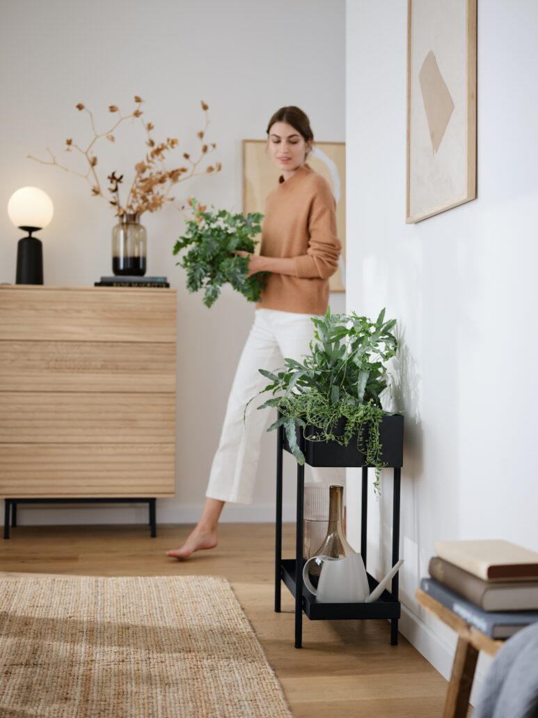 TCHIBO 128044 Plantbox Skede 1 01.23