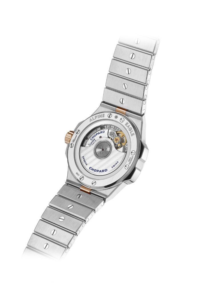 Alpine Eagle 33 298617 6001 298617 6002 back