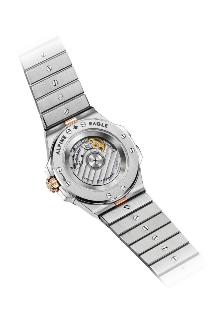 Alpine Eagle 36 298601 3001 back