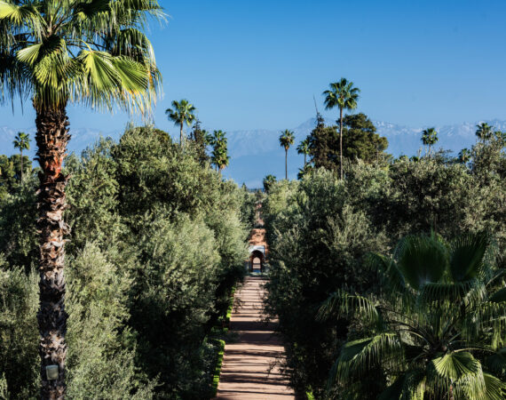 Ambiance c La Mamounia