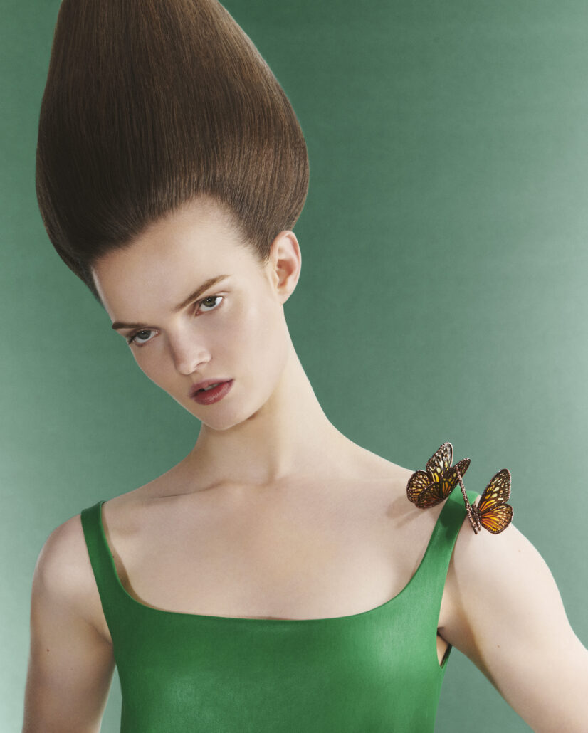 BOUCHERON Carte Blanche Ailleurs Papillon brooch