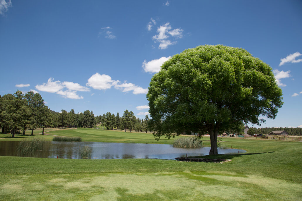 Elephant Rocks Golf Course photo credit Experience Williams