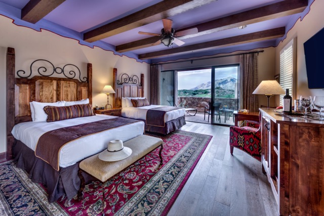 NEW CatQQ c VisitArizona