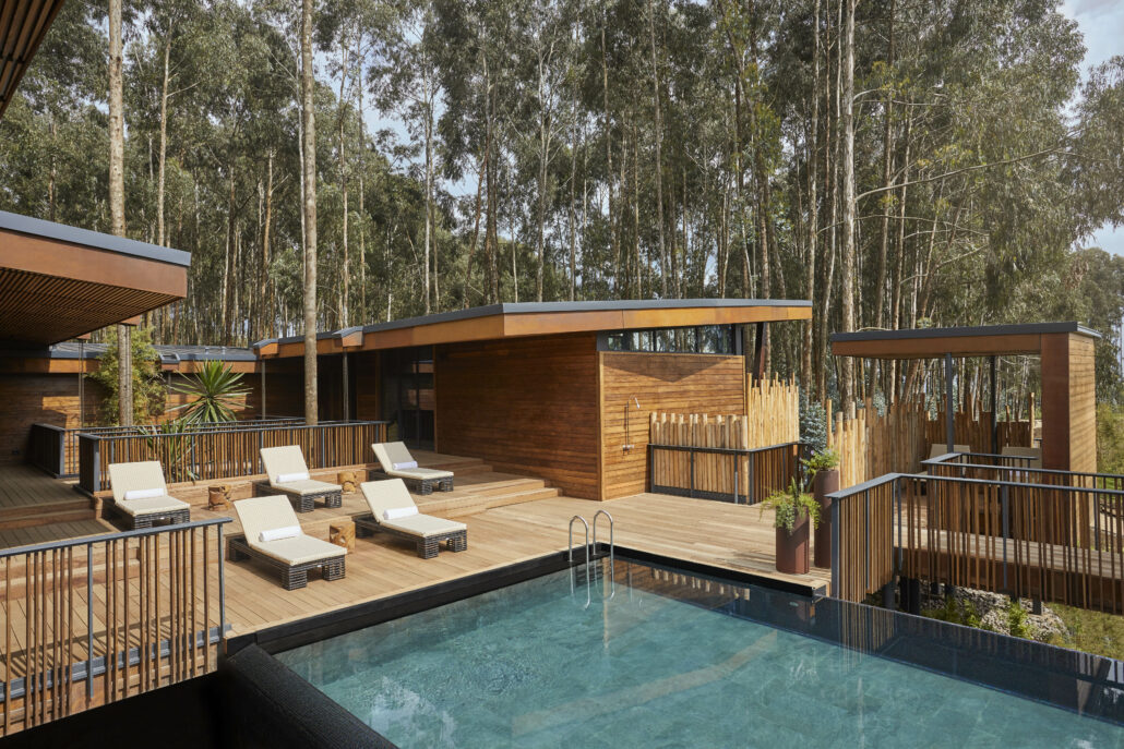 OO GorillasNest Pool Pool Wide 3117 MASTER