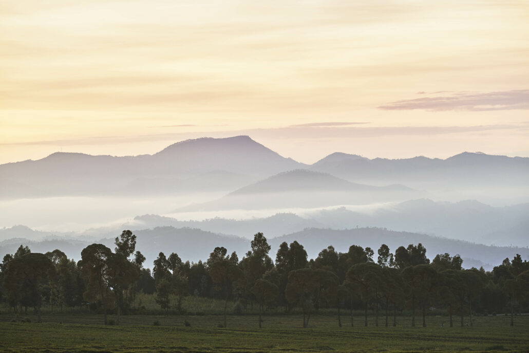 OneOnly Gorillas Nest Ruanda Sunrise Mountains