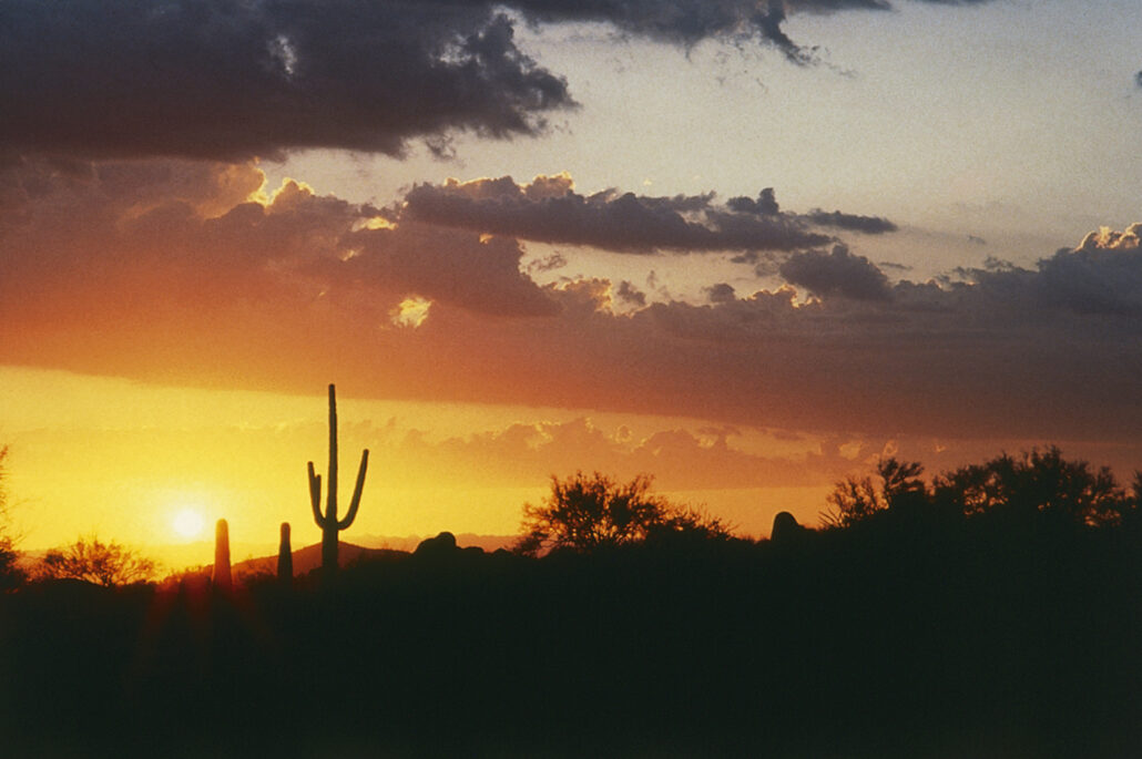 SC107 Sonoran Desert Sunset c experiencescottsdale