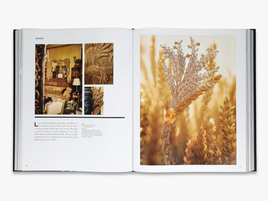 chanel 9780500025239 chanel high jewelry in03 LD