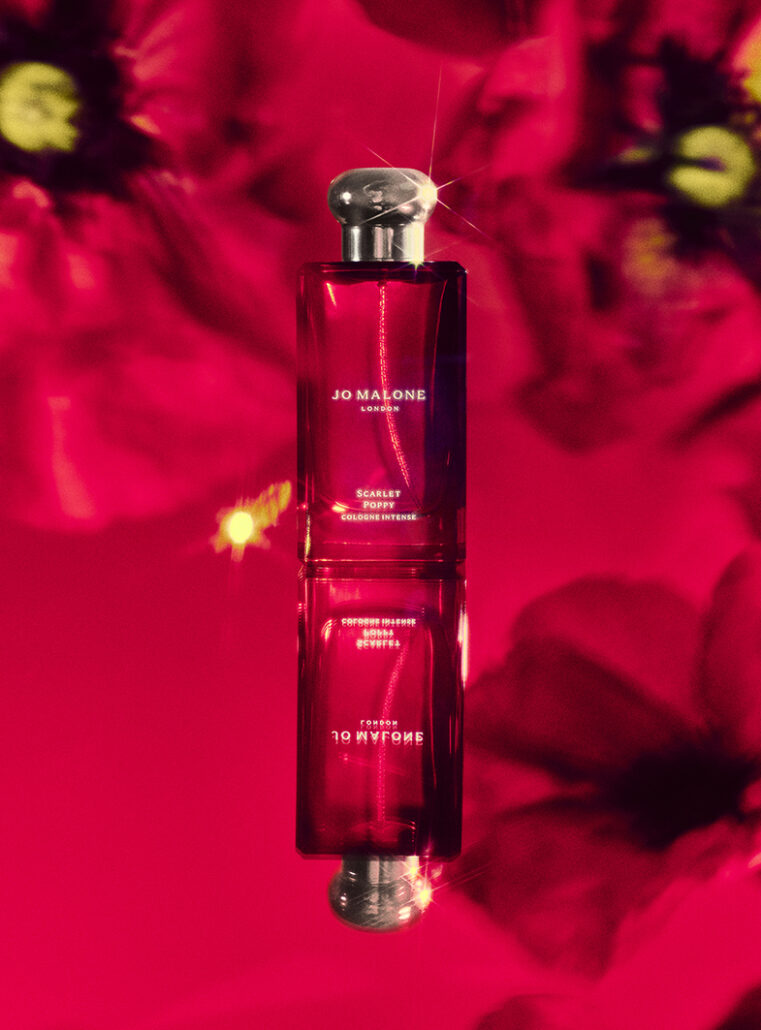 6da113b0 ba4c b229 ba36 17414b7cd9b1