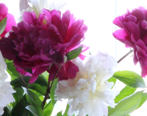 IMG 5134 14.14.02 scaled e1676020373217