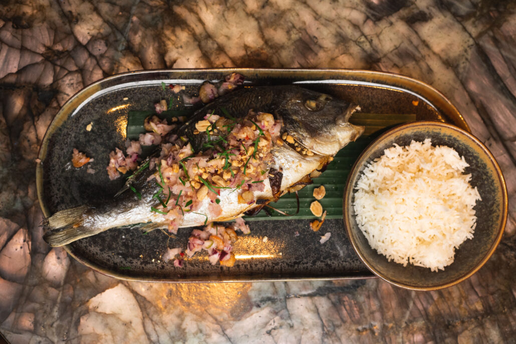 SPELUNKE © SPELUNKE 09