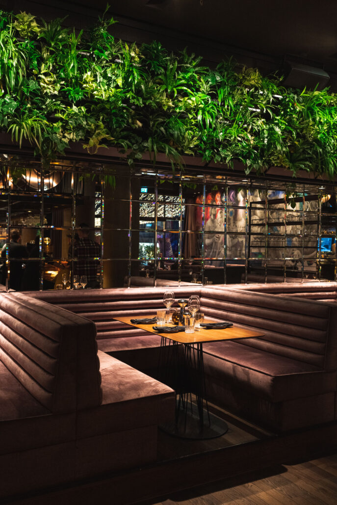 SPELUNKE © SPELUNKE 5