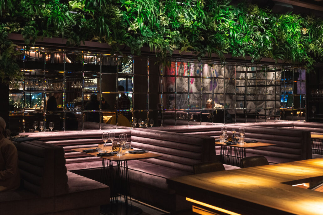 SPELUNKE © SPELUNKE 6