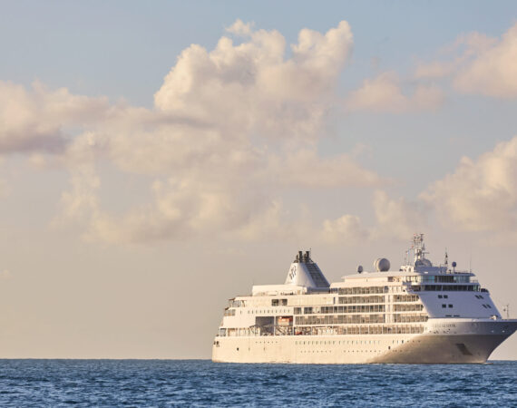 Silver Shadow 1 scaled e1675680944716