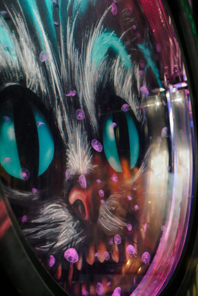 Spelunke Aquarium Februar 2023 01