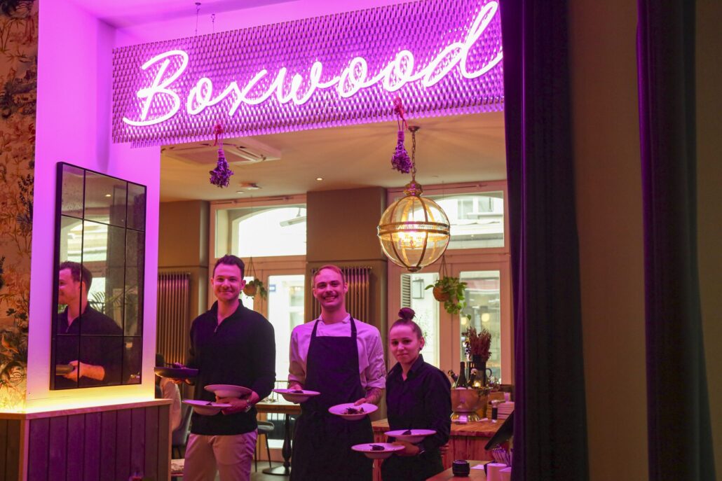 boxwood gadnik 202301 12 scaled 1