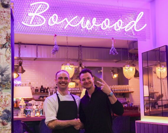 boxwood gadnik 202301 13 scaled 1 e1675325945728