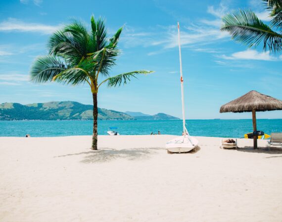 elizeu dias RN6ts8IZ4 0 unsplash