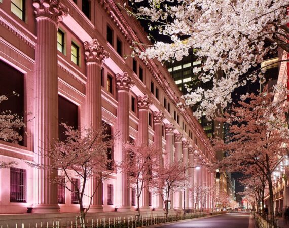 tokyo view nihonbashi sakura