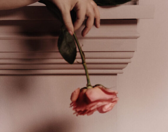 1ab91bcc c50f 0206 235d 39a36738e758 e1678698018765