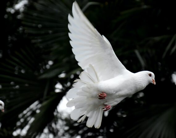 awmleer 6XcziMmkNgQ unsplash