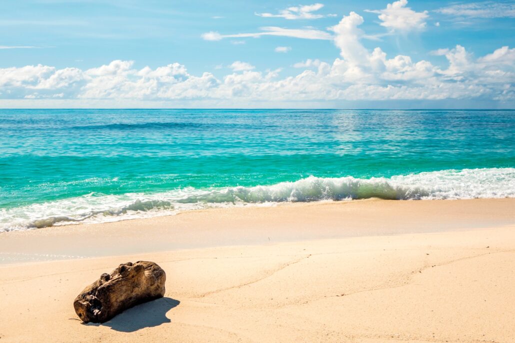 07 Denis Island © SeyVillas