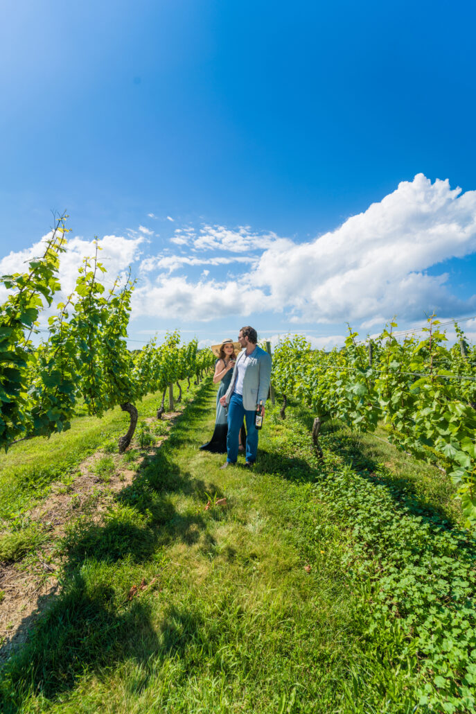 Bedell Cellars 109 1