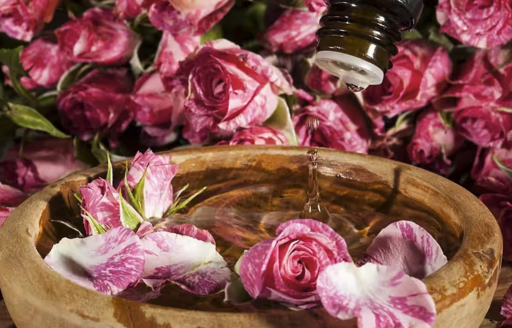 Bildschirmfoto 2023 04 26 um 11.26.04