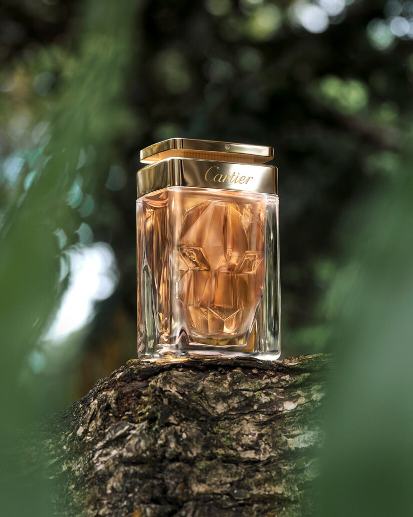 EDP V5 4x5 30cm 300dpi