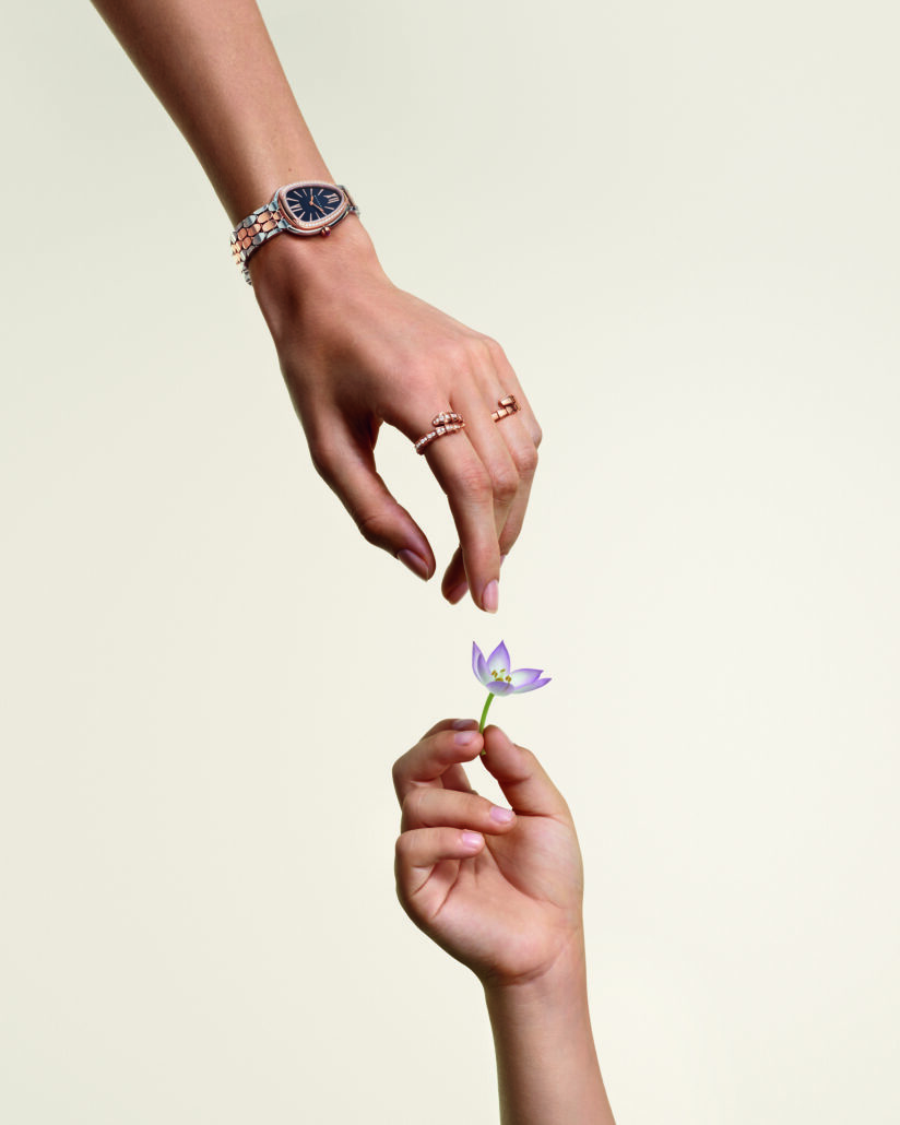 JW 23 MD Serpenti Semiendorsed01