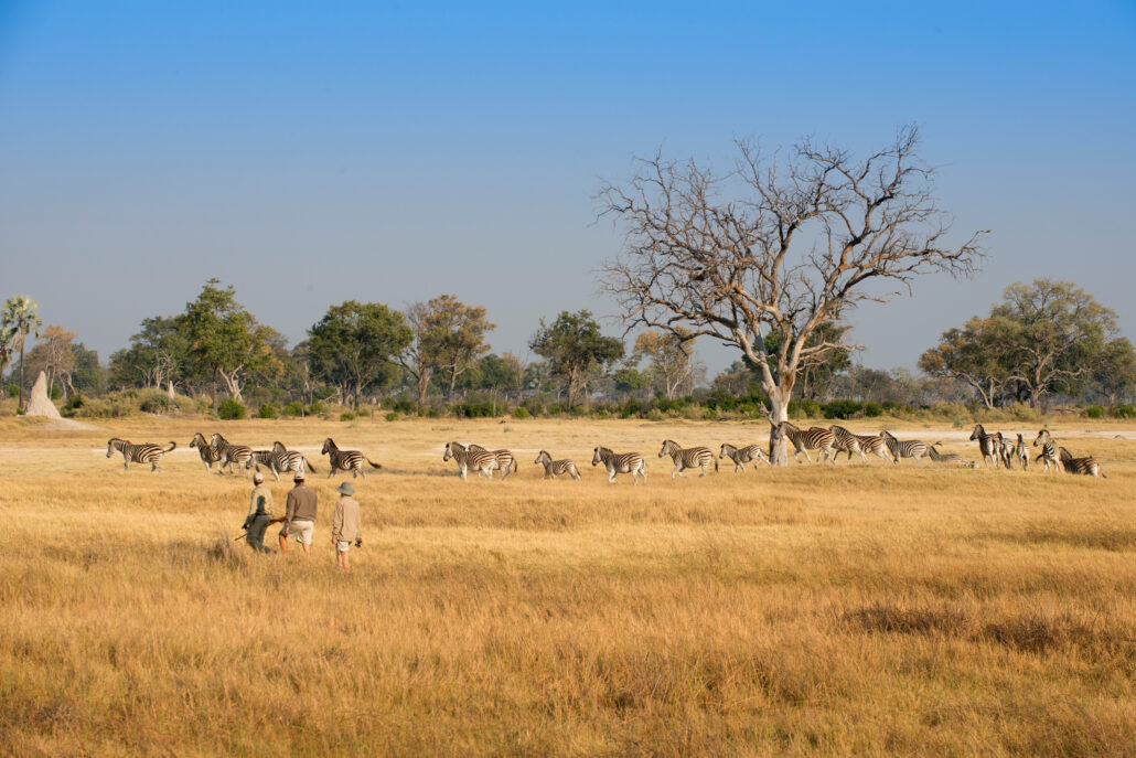Afrika andBeyond Botswana Nxabega 08