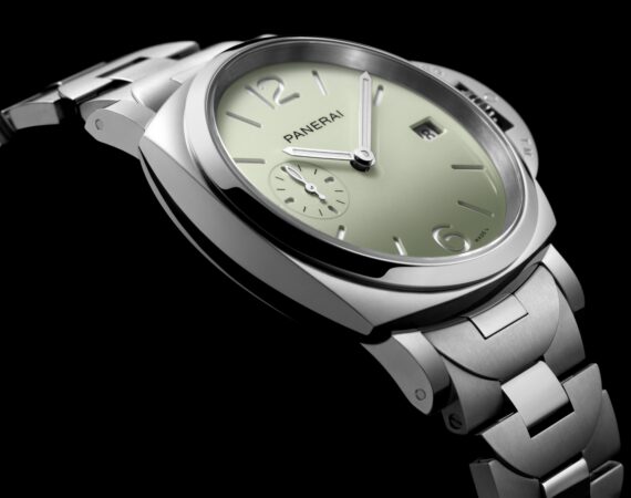 Pam1311 Cat Dett03 B