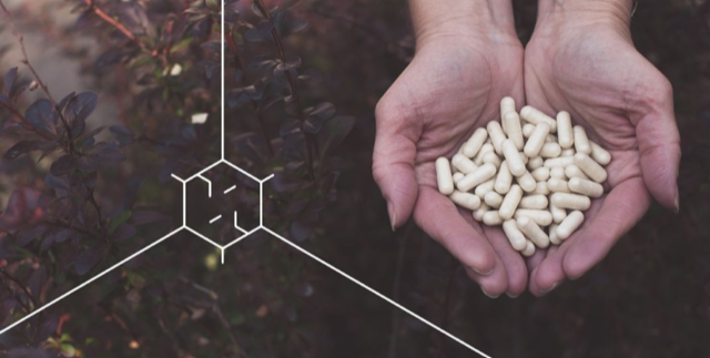 mailingassets 8cd46ff6fff009c191ef7e030ceb7e00f788b9a0 3