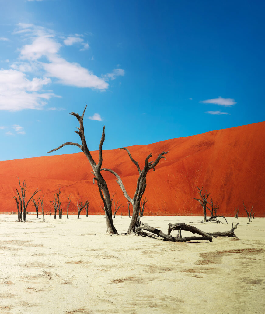 Deadvlei Namibia c AdobeStock