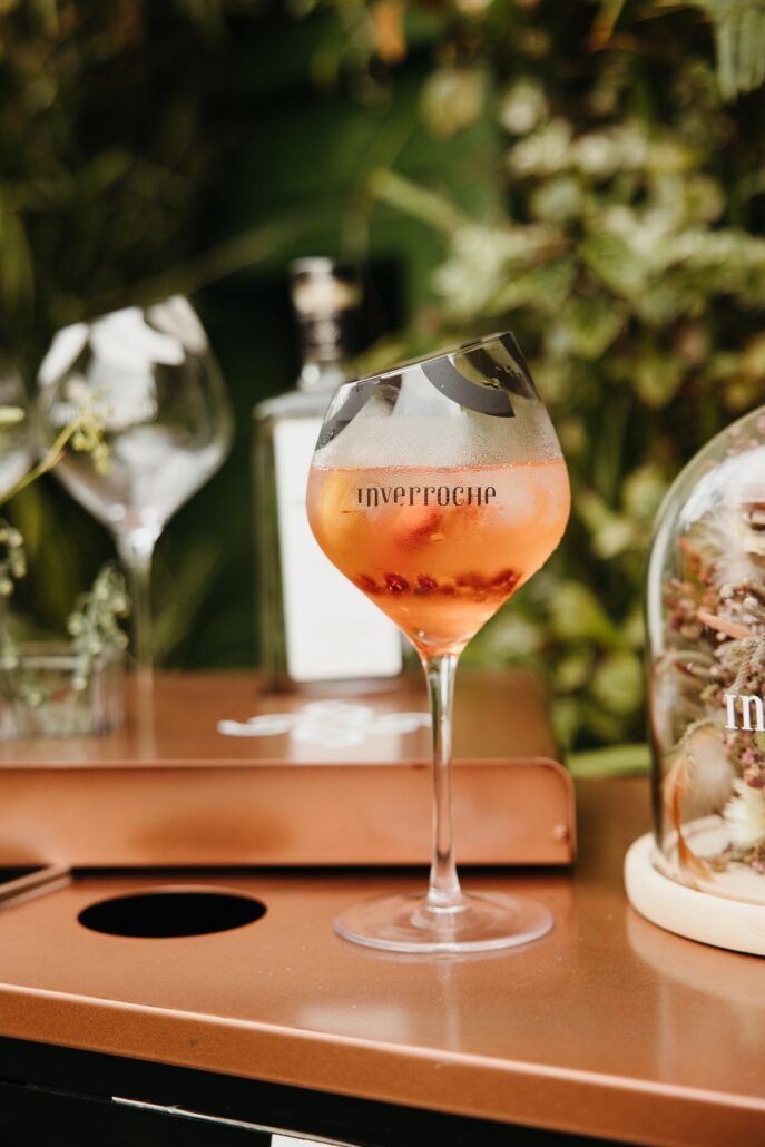 Ellerman House Inverroche Gin tasting