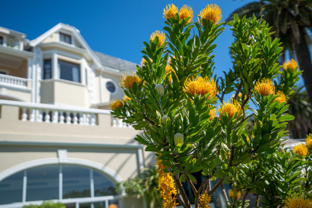 Felix Studios Ellerman Gardens OCT 2022 7