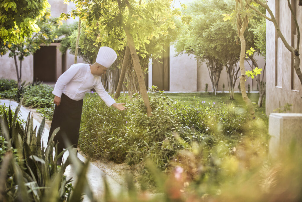 Zulal Wellness Resort Wellness Cuisine Herb Picking