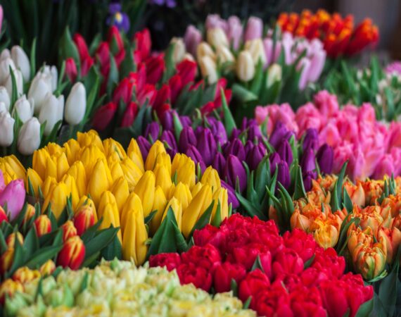 ioann mark kuznietsov eHlVZcSrjfg unsplash