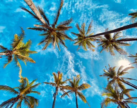 jamaal cooks sp4dq3f825M unsplash scaled e1686733611571